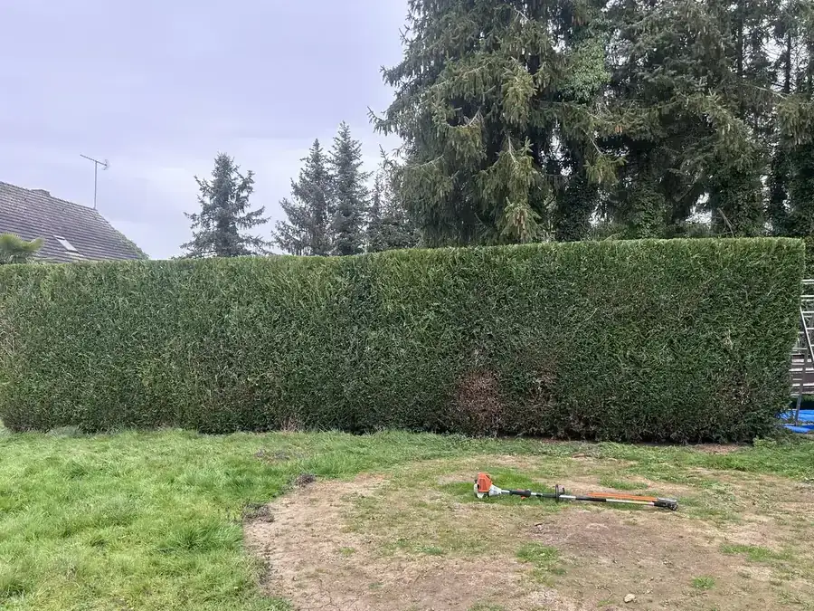 Entretien de jardin au printemps par Tom Legrand, paysagiste dans l'Eure