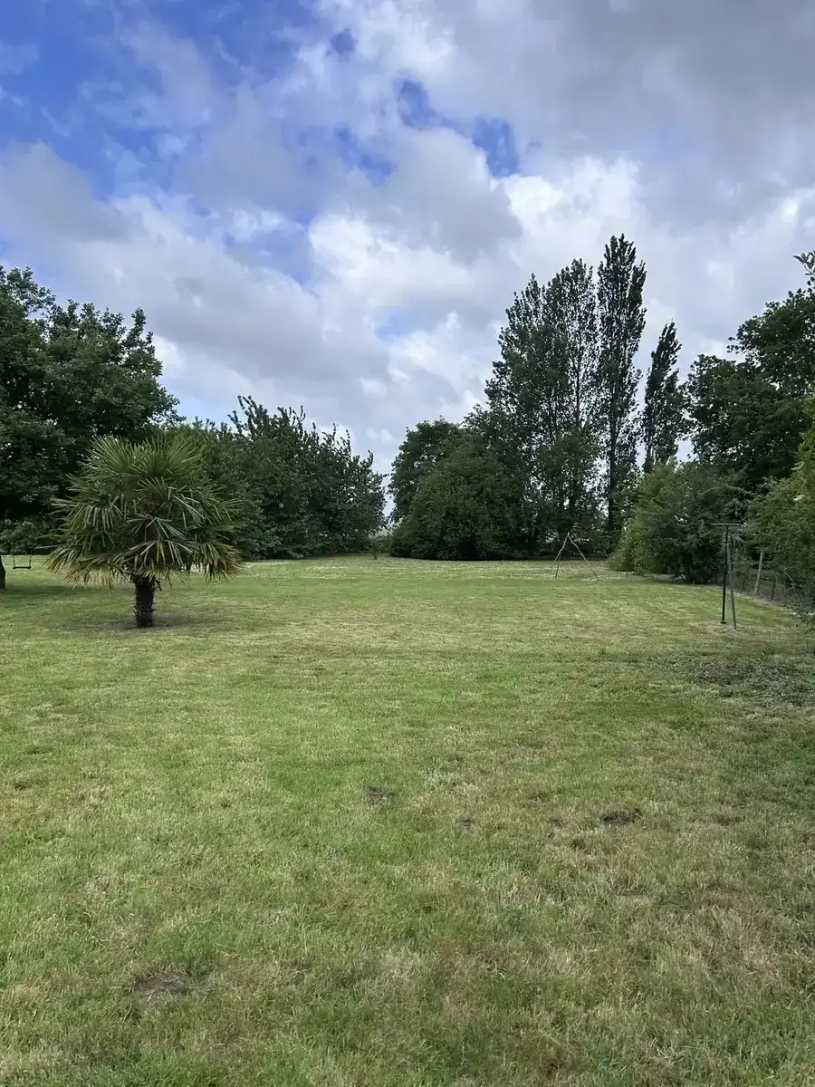 Entretien de jardin par Tom Legrand, paysagiste dans l'Eure